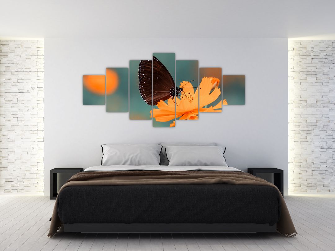 Obraz - motýl na oranžové květině (V020577V210100)