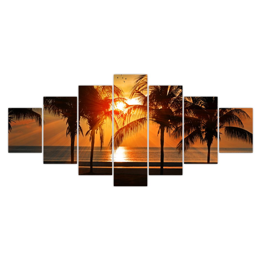 Obraz palmy v západu slunce (V020622V210100)