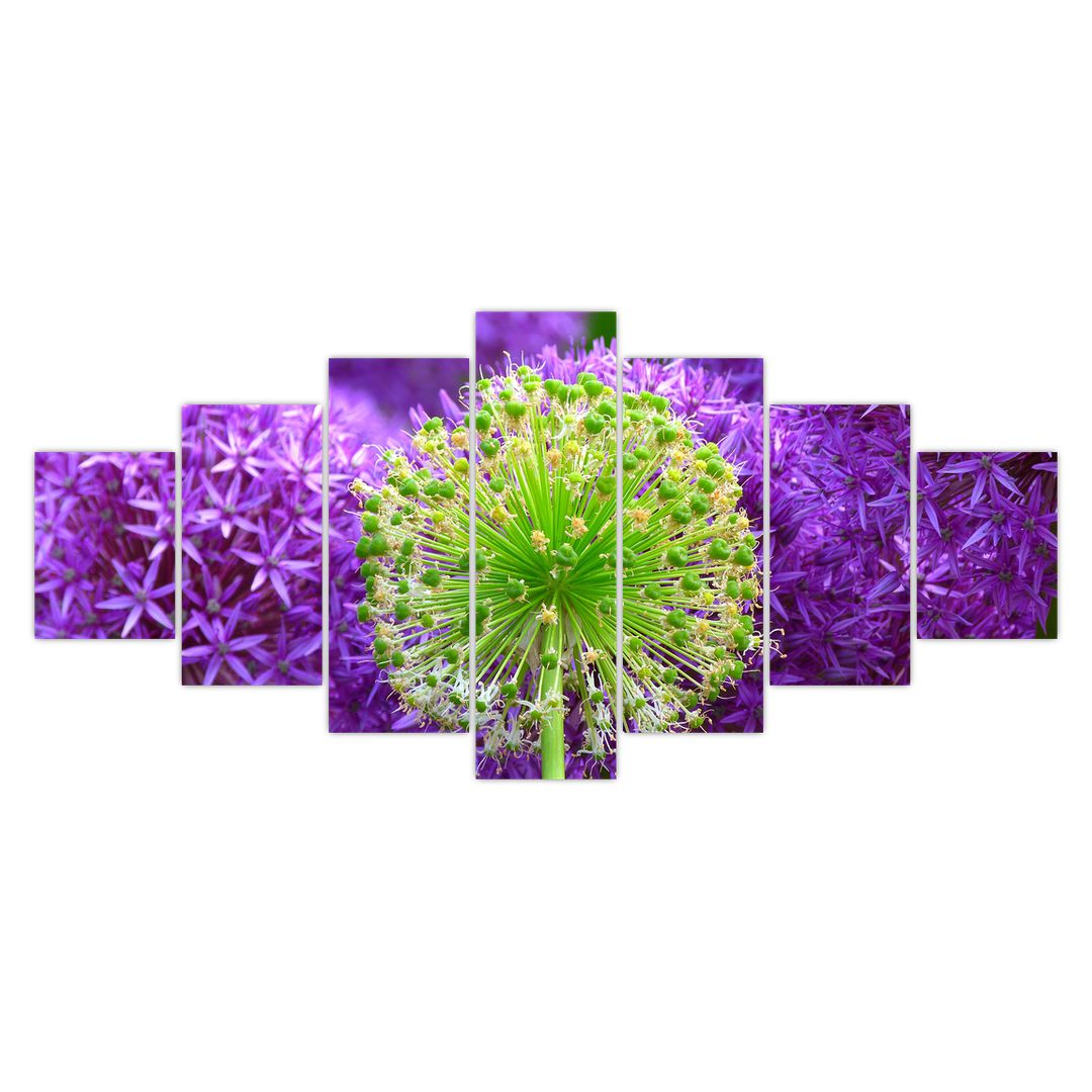 Obraz květiny (V020625V210100)