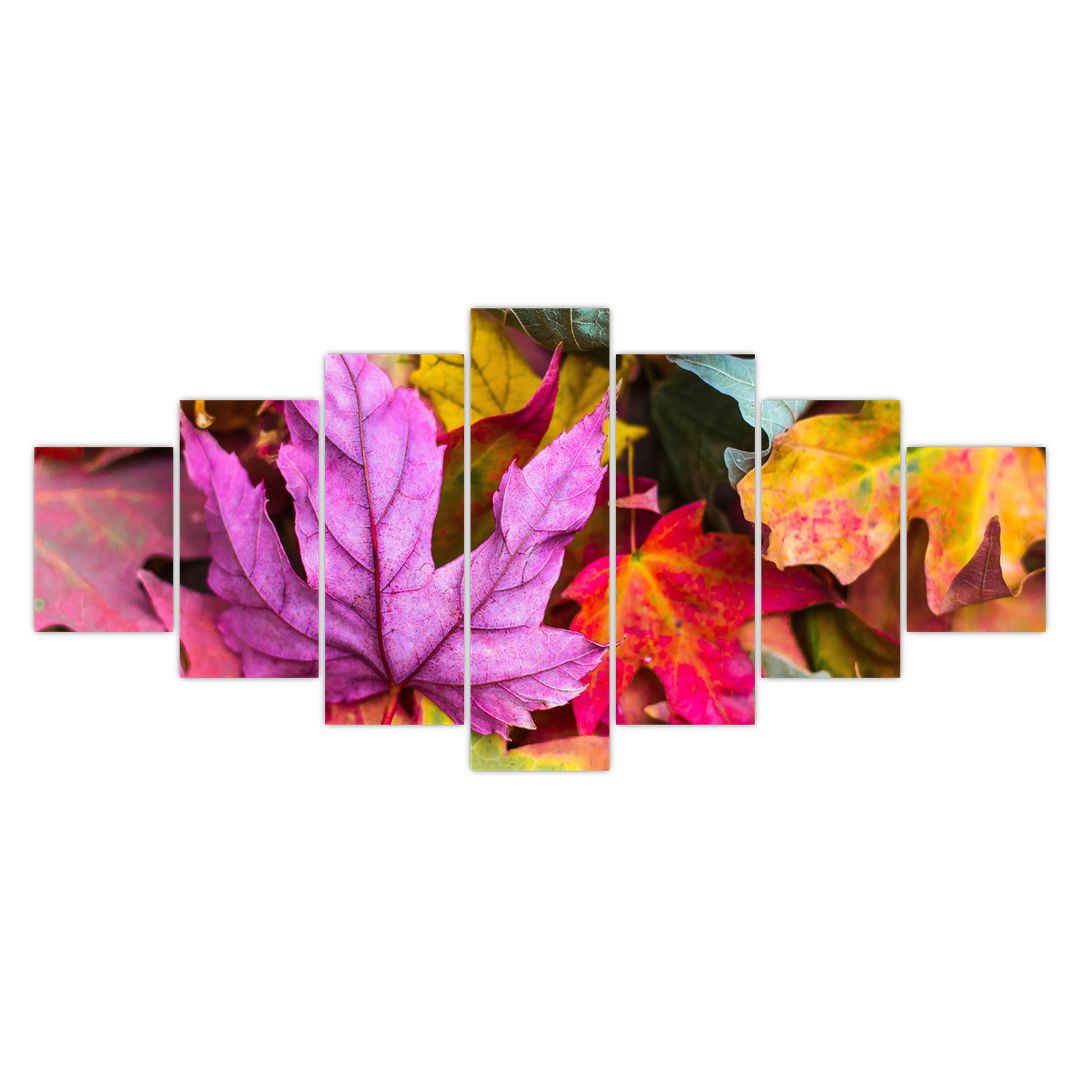 Obraz - podzimní listy (V020629V210100)