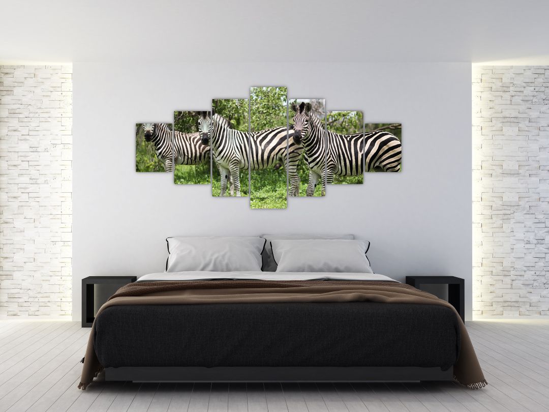 Obraz s zebrami (V020921V210100)