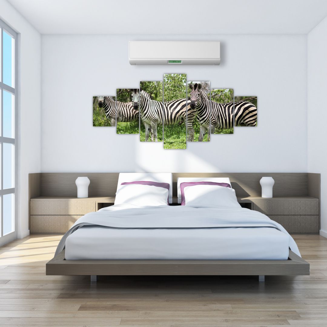 Obraz s zebrami (V020921V210100)