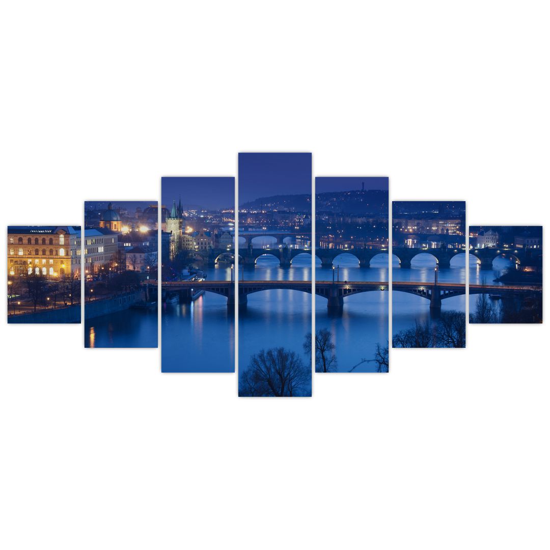 Obraz pražských mostů (V020932V210100)