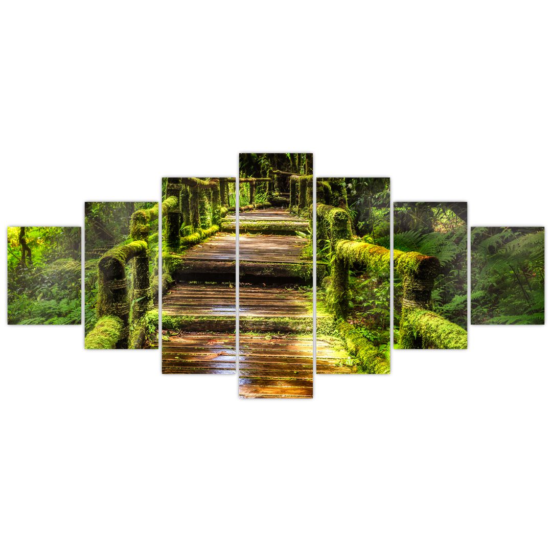 Obraz schodů v deštném pralese (V020941V210100)