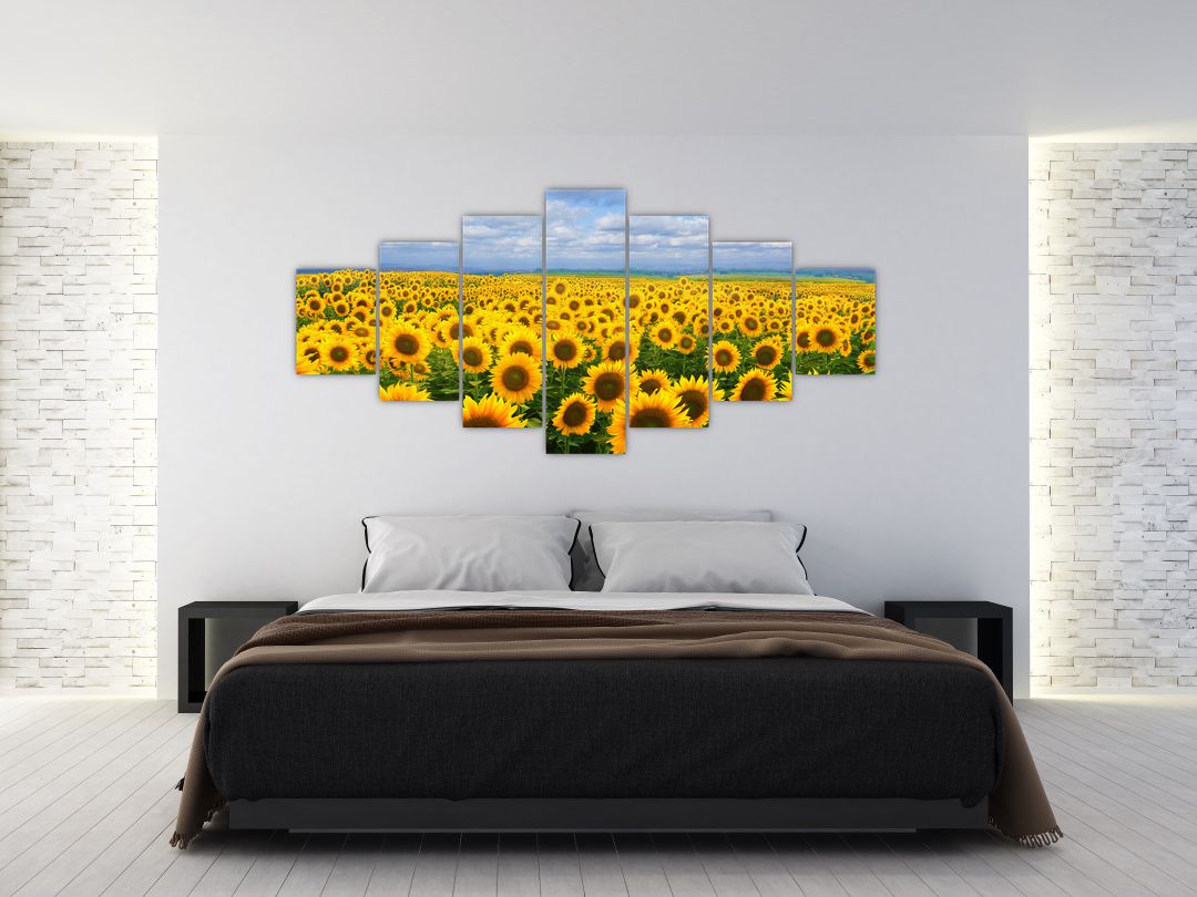 Obraz slunečnicového pole (V020946V210100)