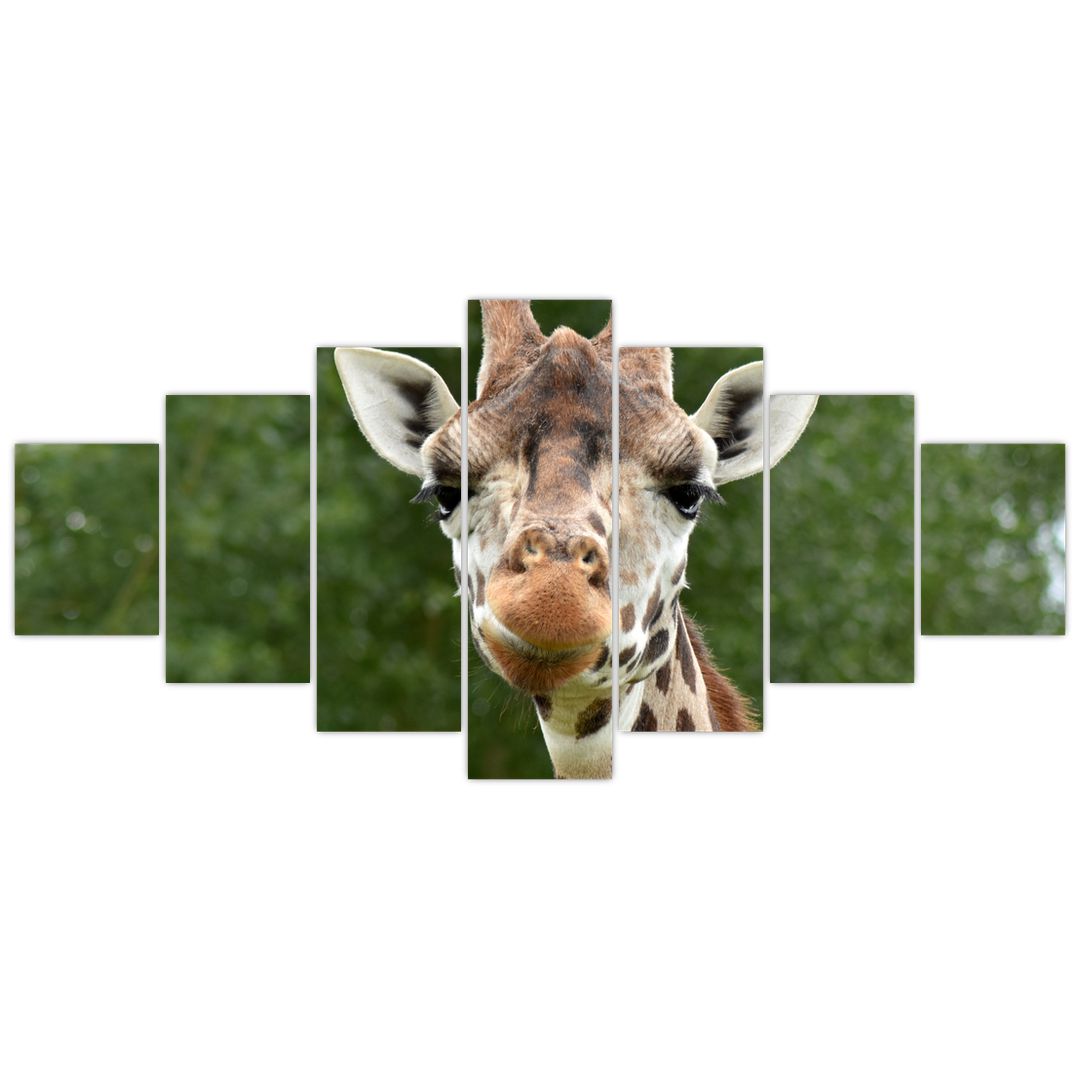 Obraz žirafy (V020969V210100)