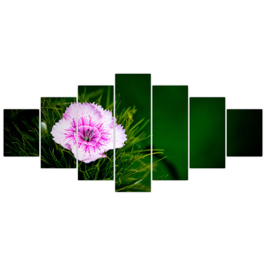 Obraz růžového květu (V020990V210100)