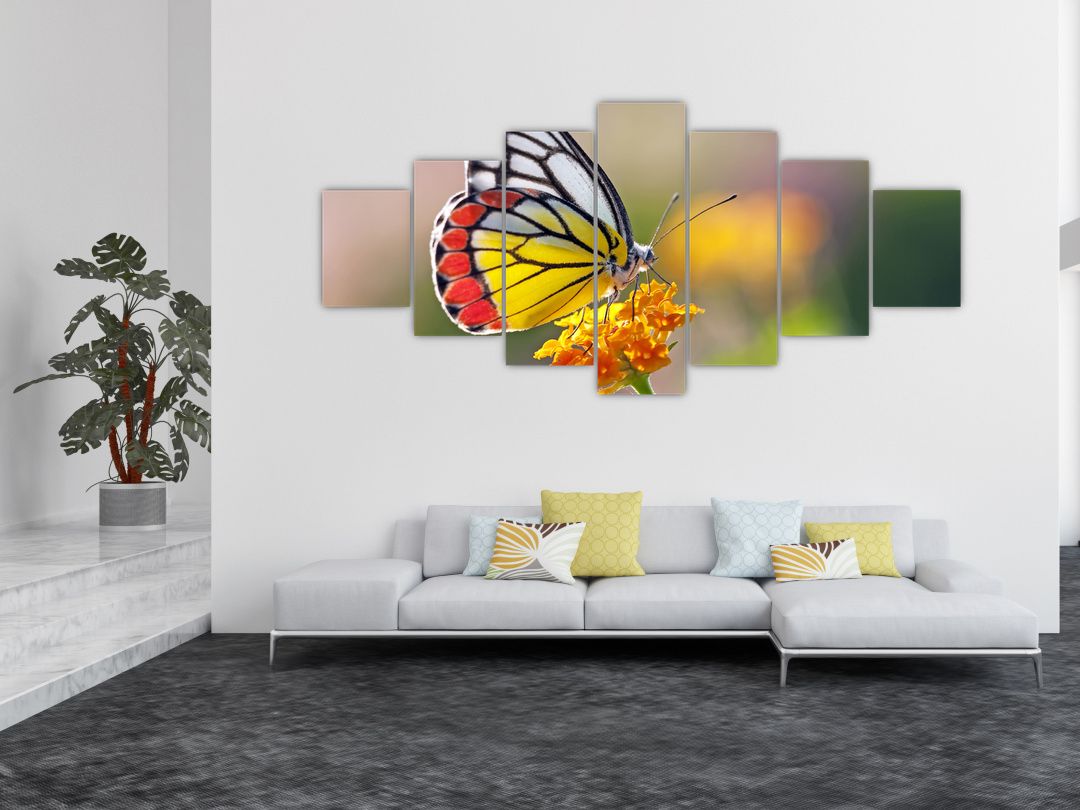 Obraz motýla na květu (V022330V210100)