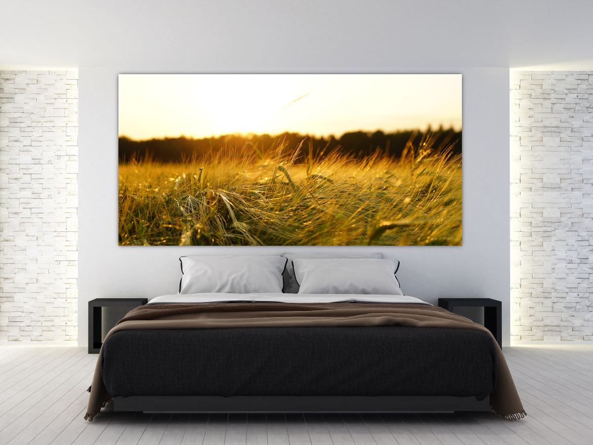 Obraz orosené trávy (V020584V250125)