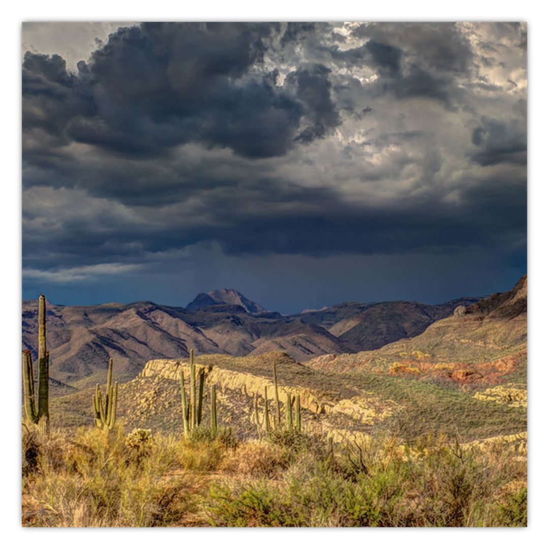 Obraz - kaktusy v přírodě (V020557V3030)