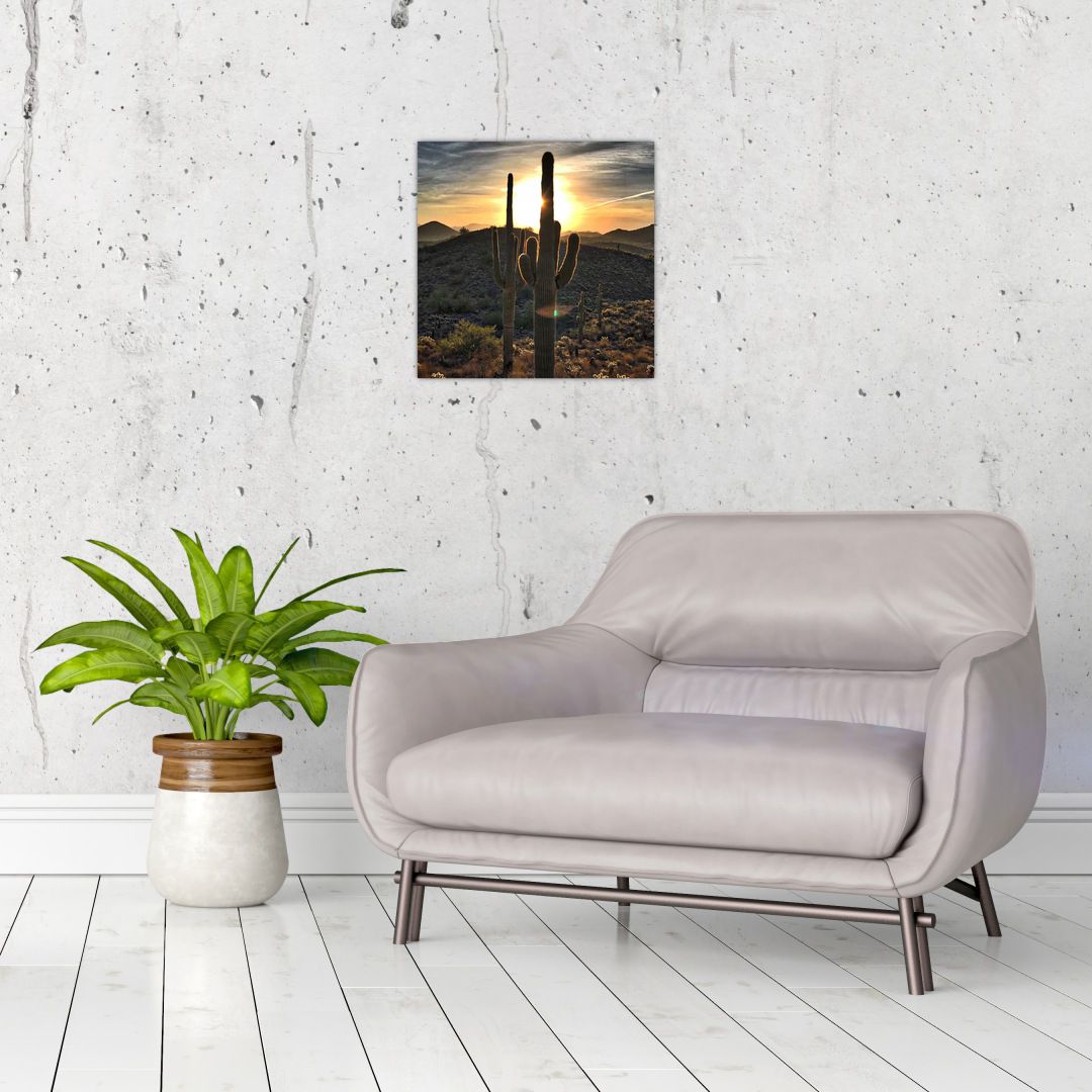 Obraz - kaktusy ve slunci (V020560V3030)
