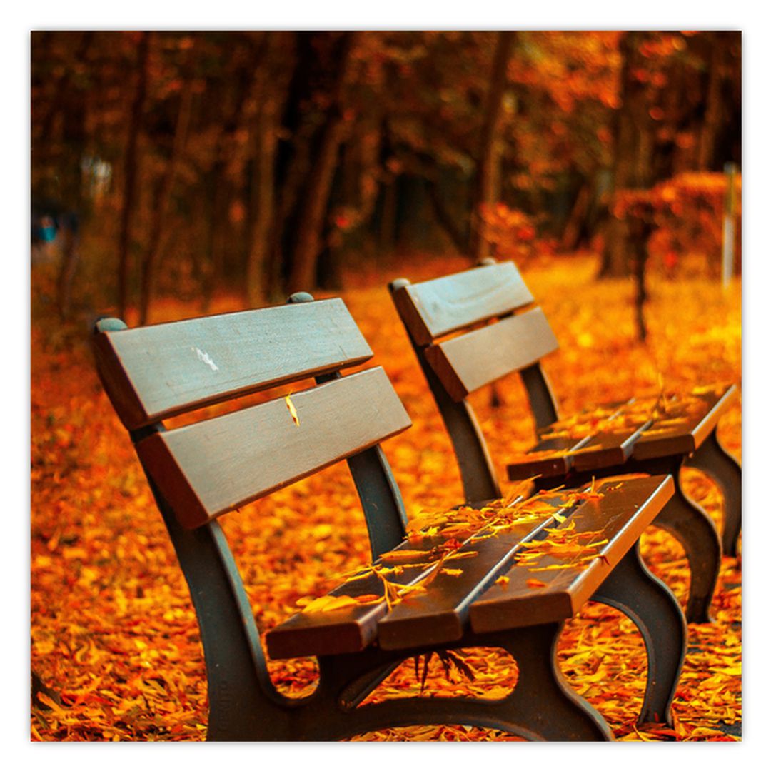 Obraz lavičky v podzimu (V020588V3030)