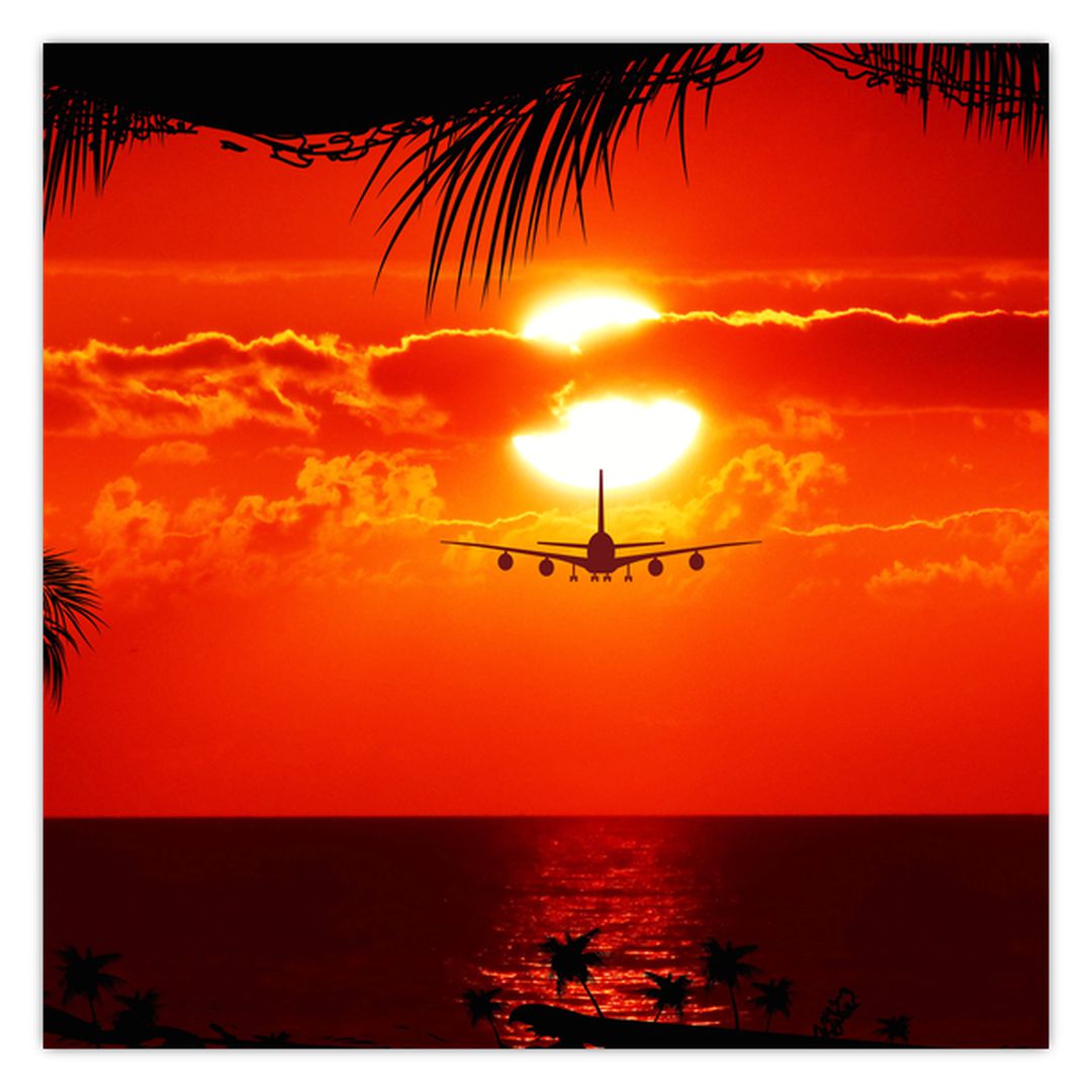 Obraz - západ slunce s letadlem (V020623V3030)