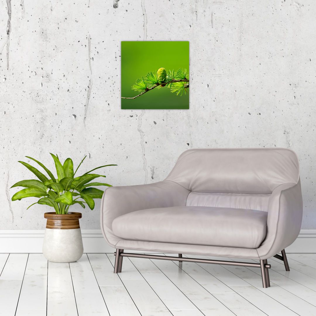 Obraz zelené šišky (V020627V3030)