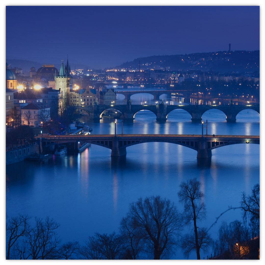Obraz pražských mostů (V020932V3030)