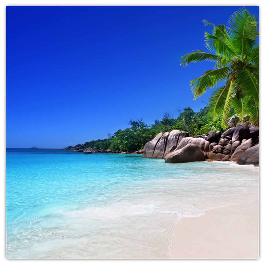 Obraz pláže na Praslin ostrově (V020936V3030)