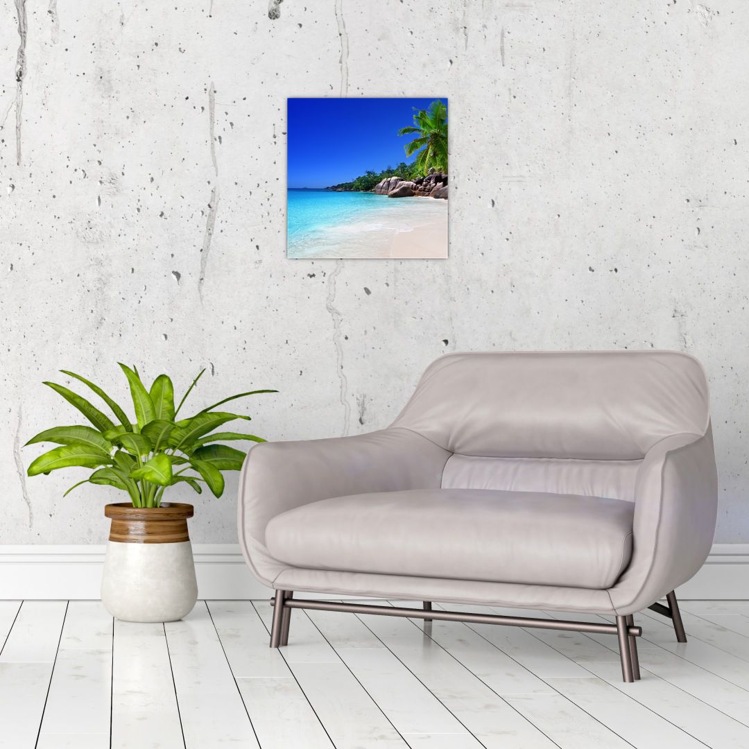 Obraz pláže na Praslin ostrově (V020936V3030)