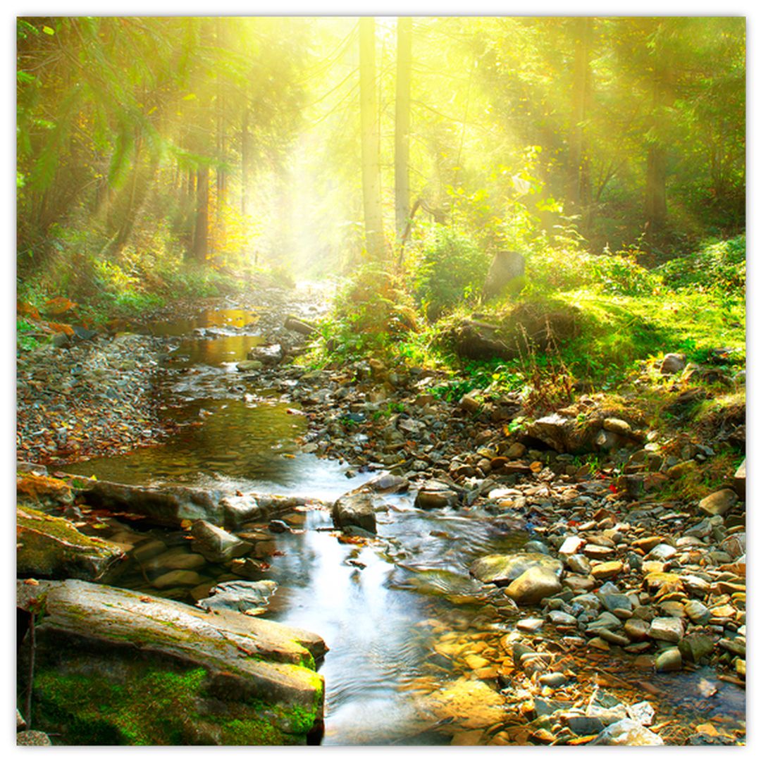 Obraz řeky v zeleném lese (V020942V3030)