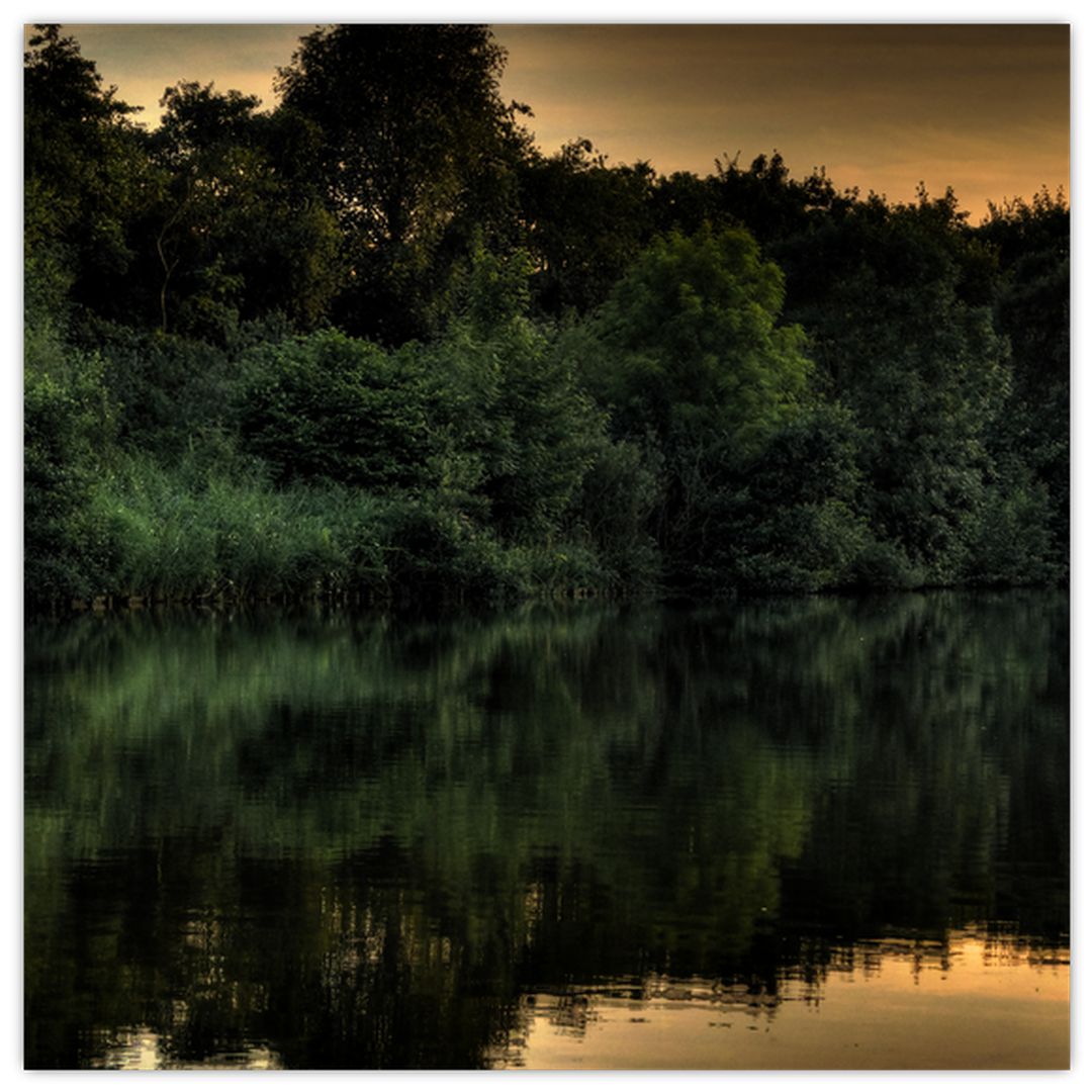Obraz jezera u lesa (V020974V3030)