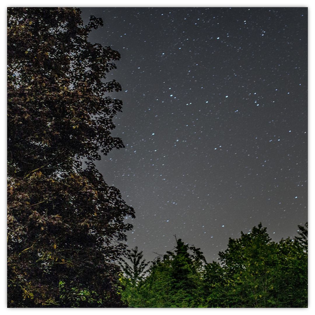 Obraz noční oblohy (V020998V3030)