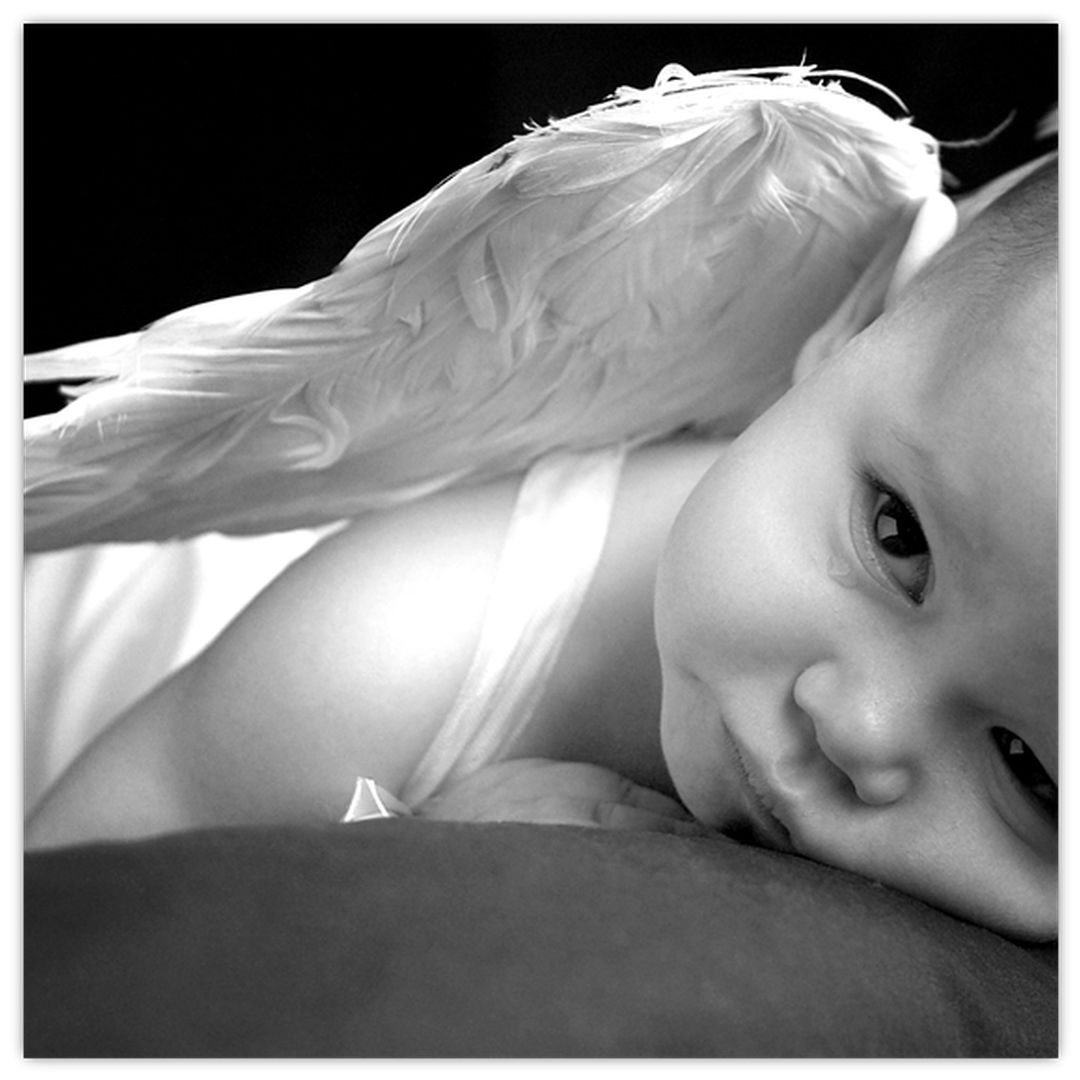Obraz dětského anděla (V022293V3030)
