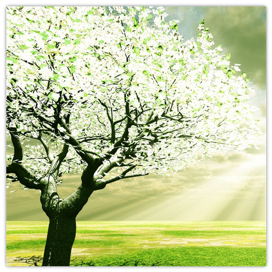 Skleněný obraz kvetoucího stromu (V020004V3030GD)
