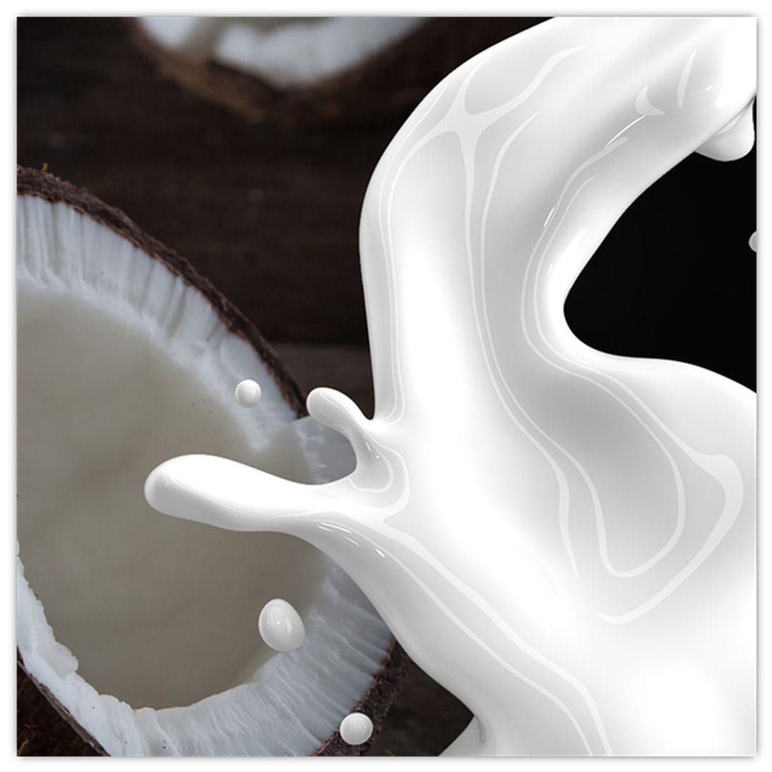 Skleněný obraz - kokosové mléko (V020051V3030GD)