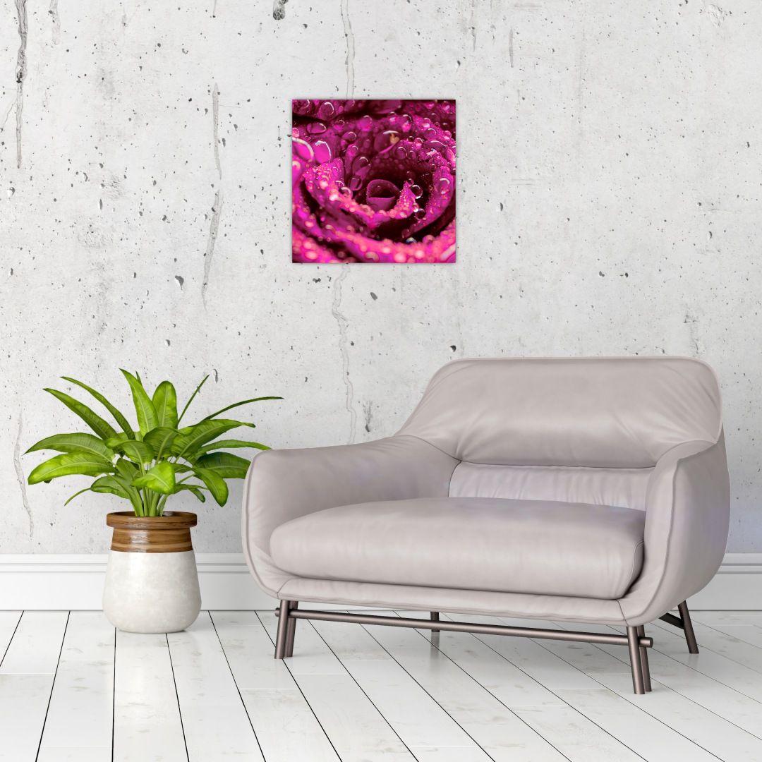 Skleněný obraz růžového květu růže (V020056V3030GD)