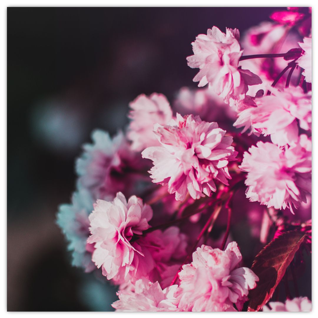 Skleněný obraz květů stromu (V020156V3030GD)