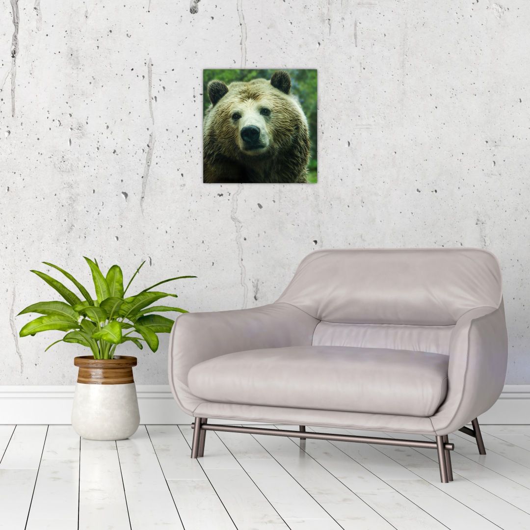 Skleněný obraz medvěda (V020185V3030GD)