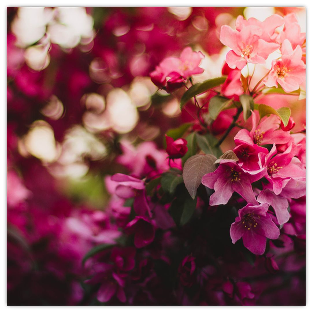 Skleněný obraz kvetů rokvitnutého keře (V020196V3030GD)