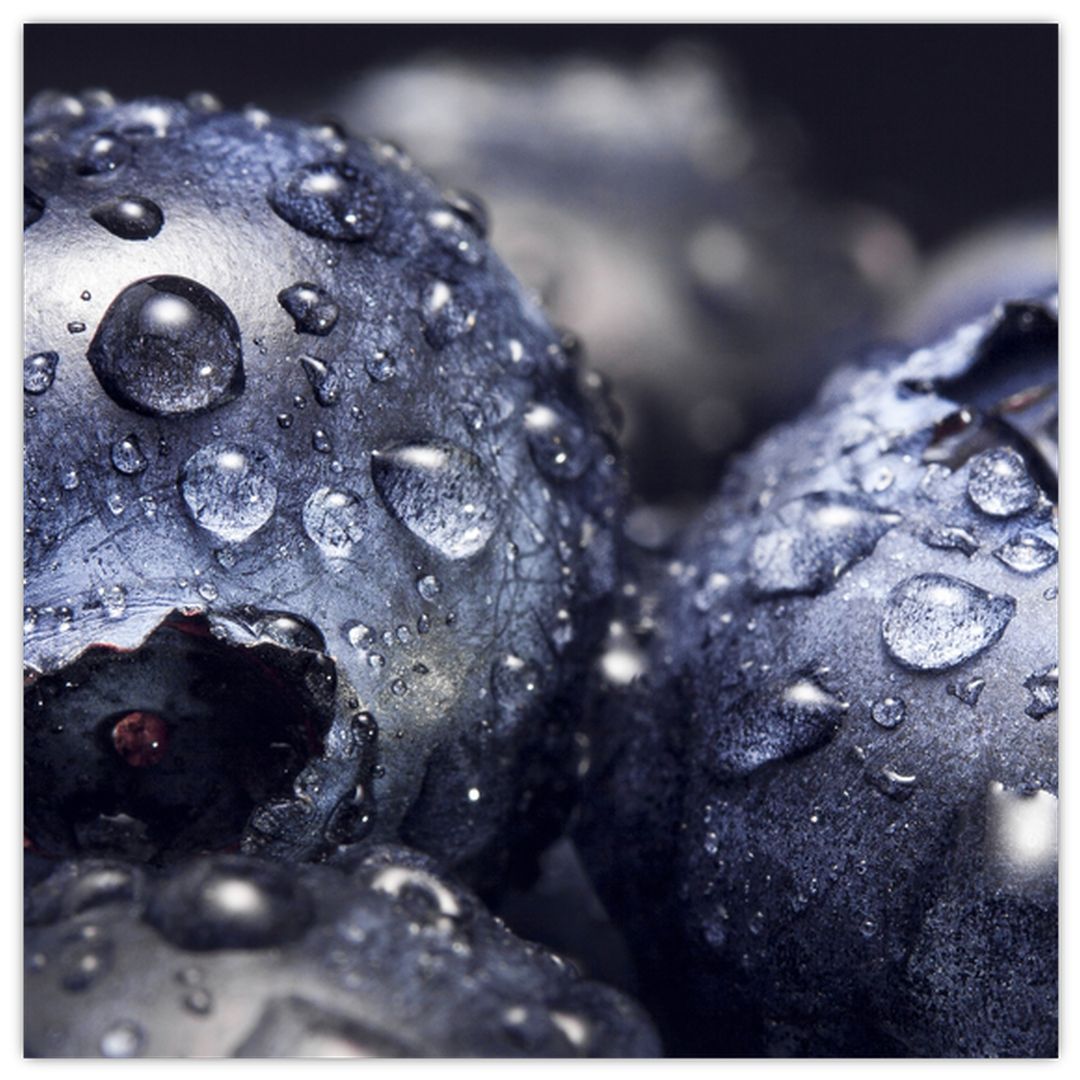 Skleněný obraz ovoce s kapkami vody (V020222V3030GD)