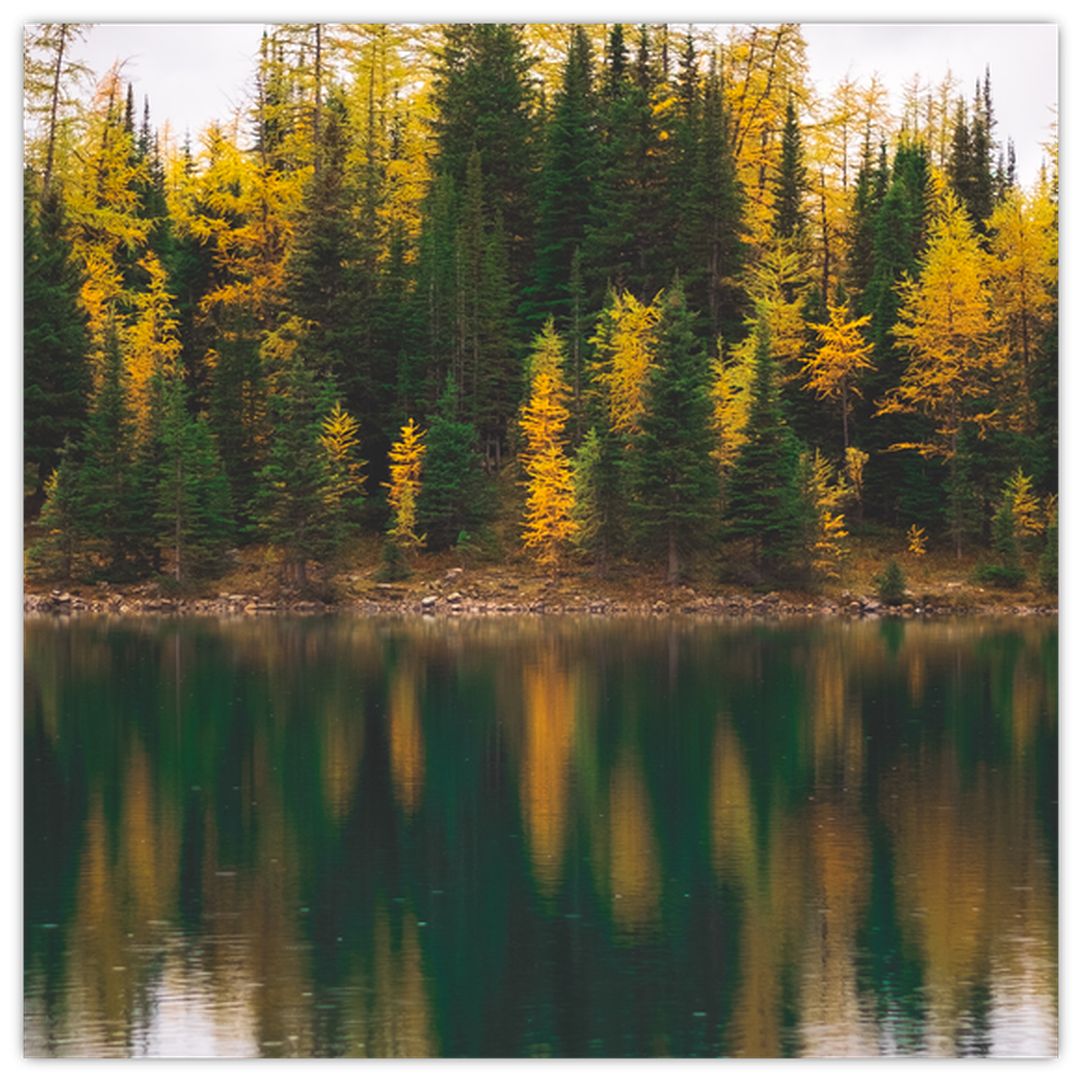 Skleněný obraz lesního jezera (V020235V3030GD)