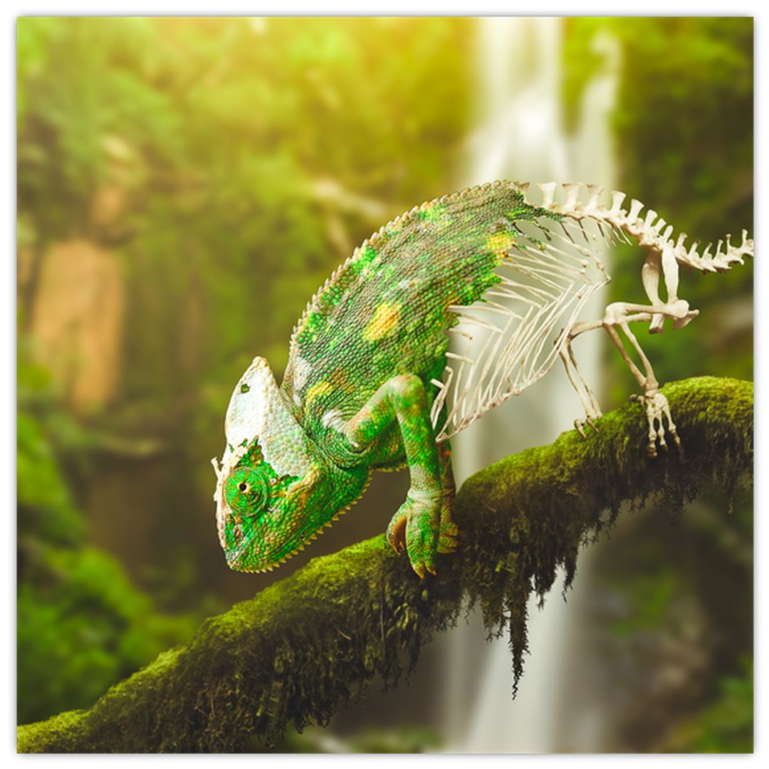 Skleněný obraz chameleona (V020277V3030GD)