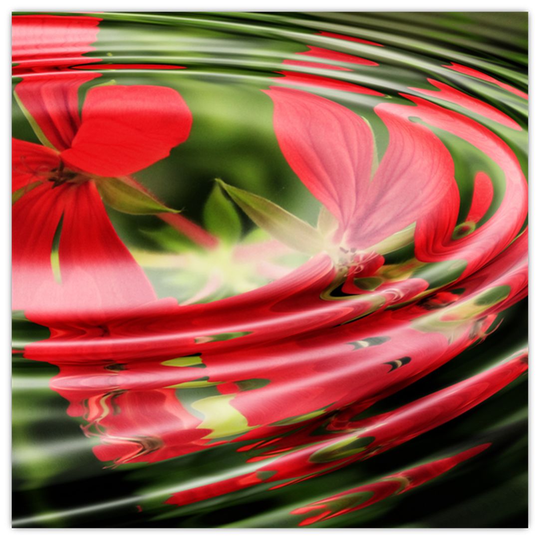 Abstraktní obraz - květy ve vlnách (V020296V3030GD)