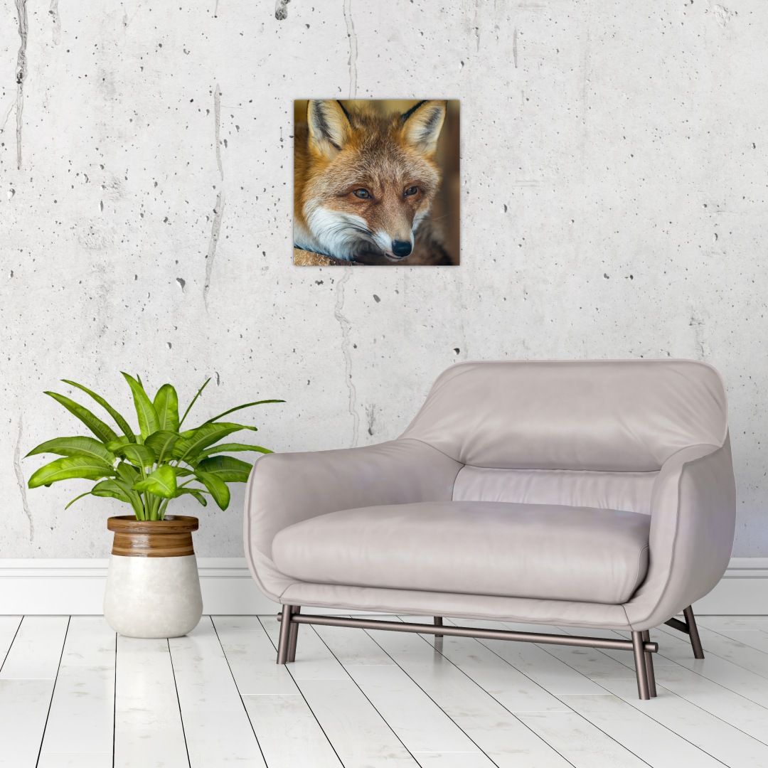Skleněný obraz lišky (V020323V3030GD)