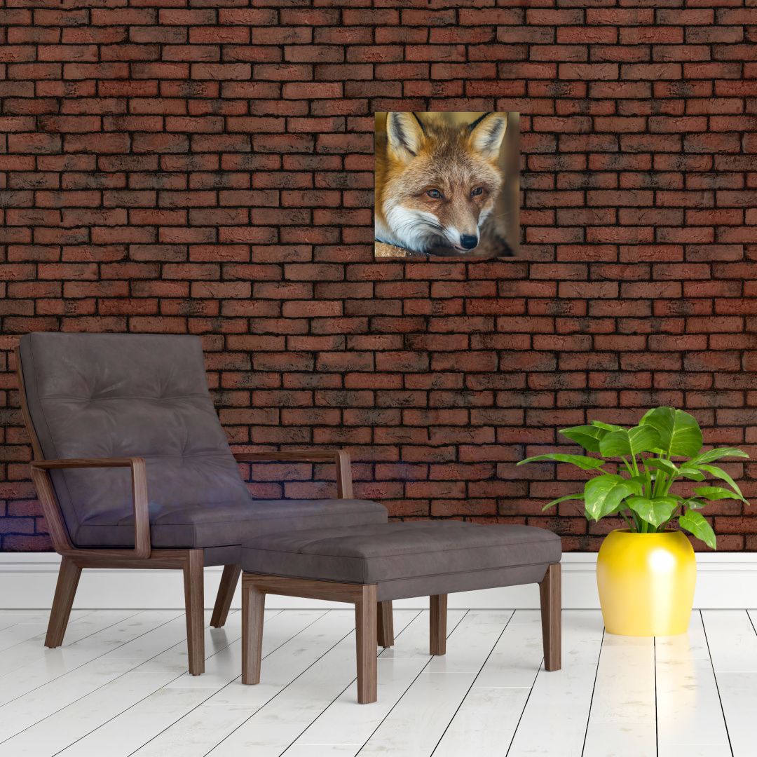 Skleněný obraz lišky (V020323V3030GD)