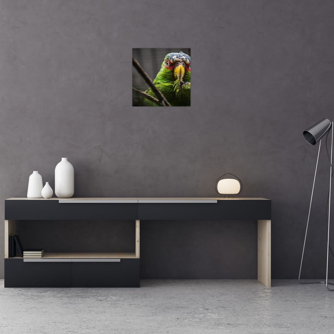 Skleněný obraz papouška (V020325V3030GD)