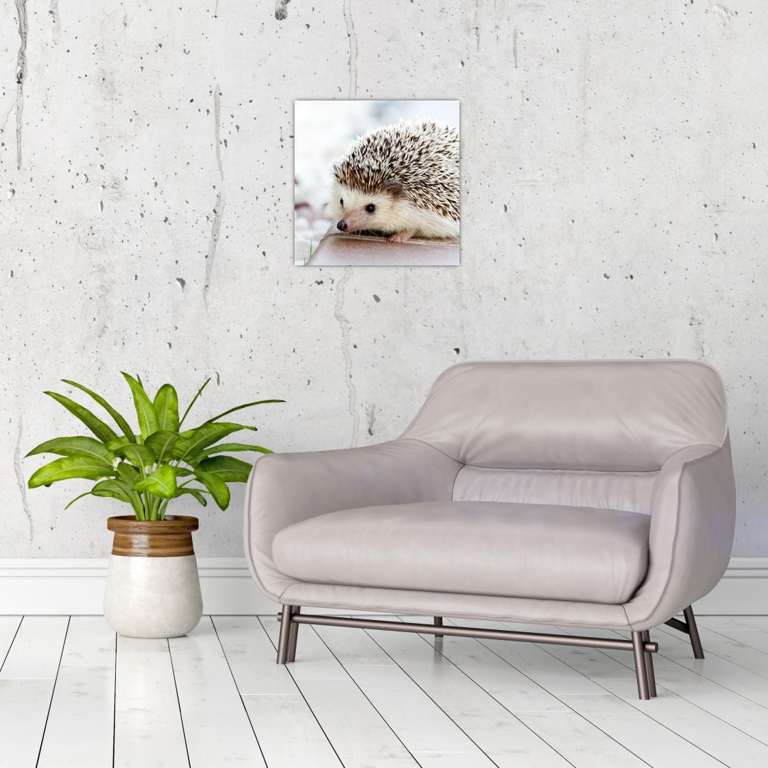 Skleněný obraz ježka (V020368V3030GD)