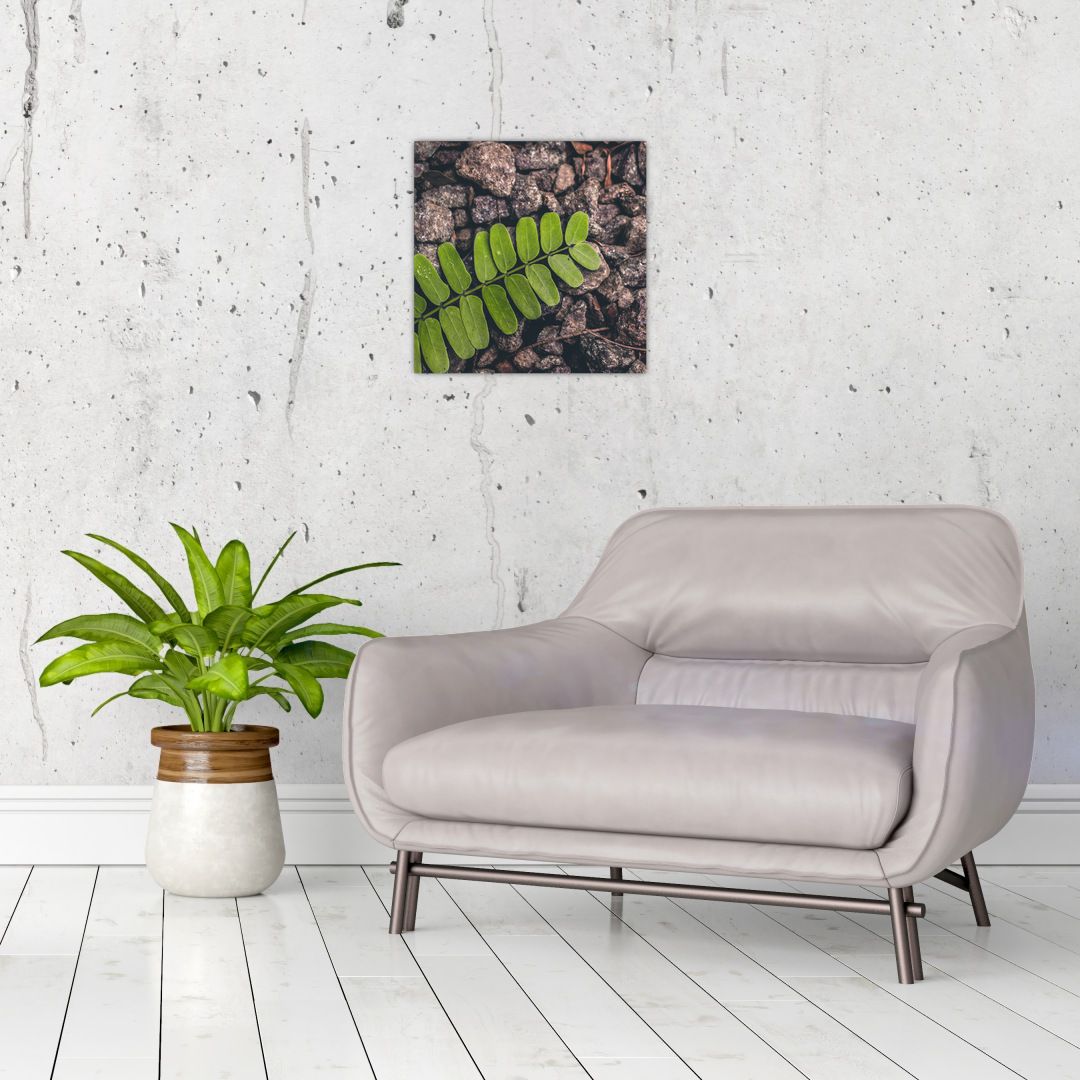 Skleněný obraz zelené rostliny (V020371V3030GD)
