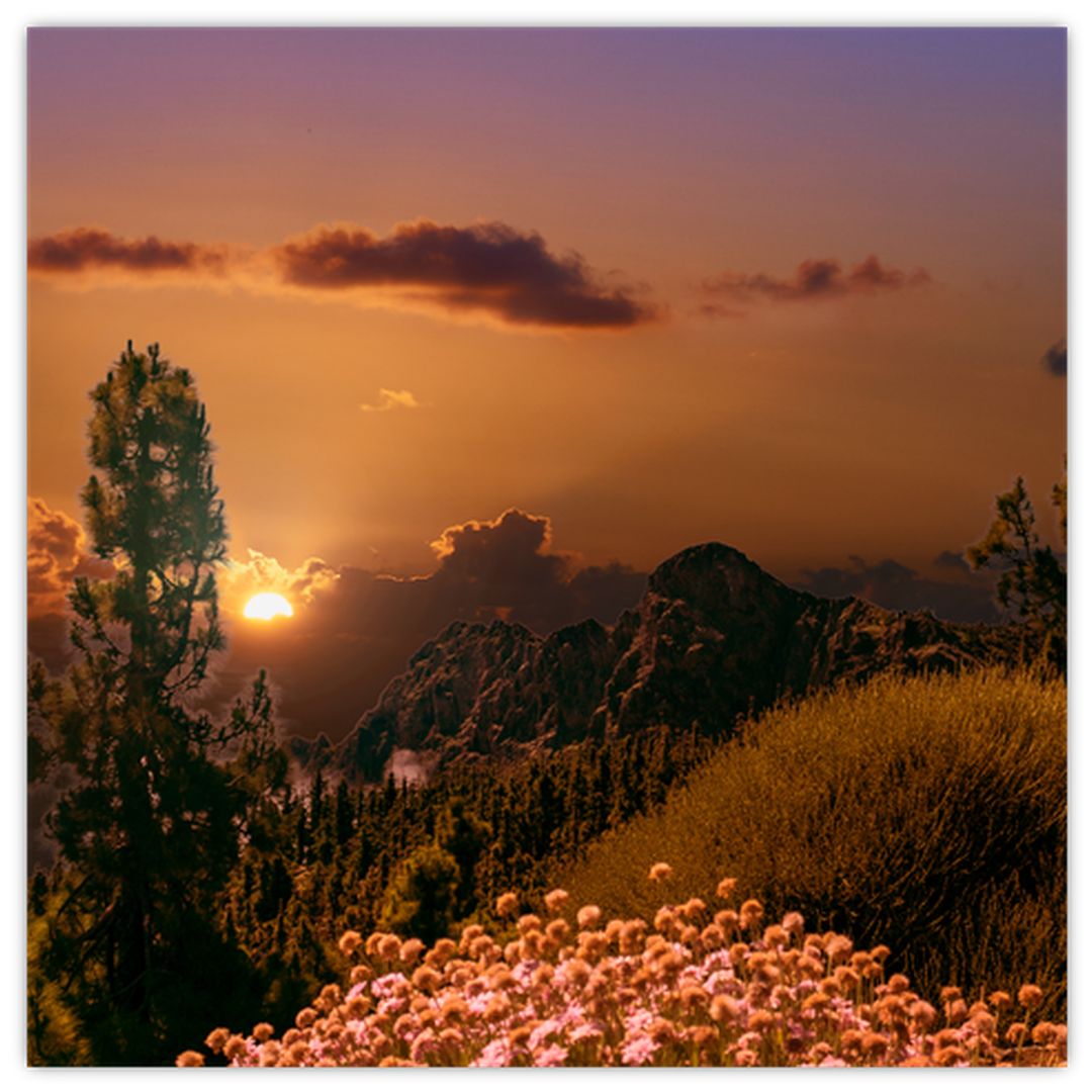 Skleněný obraz přírody se západem slunce (V020383V3030GD)