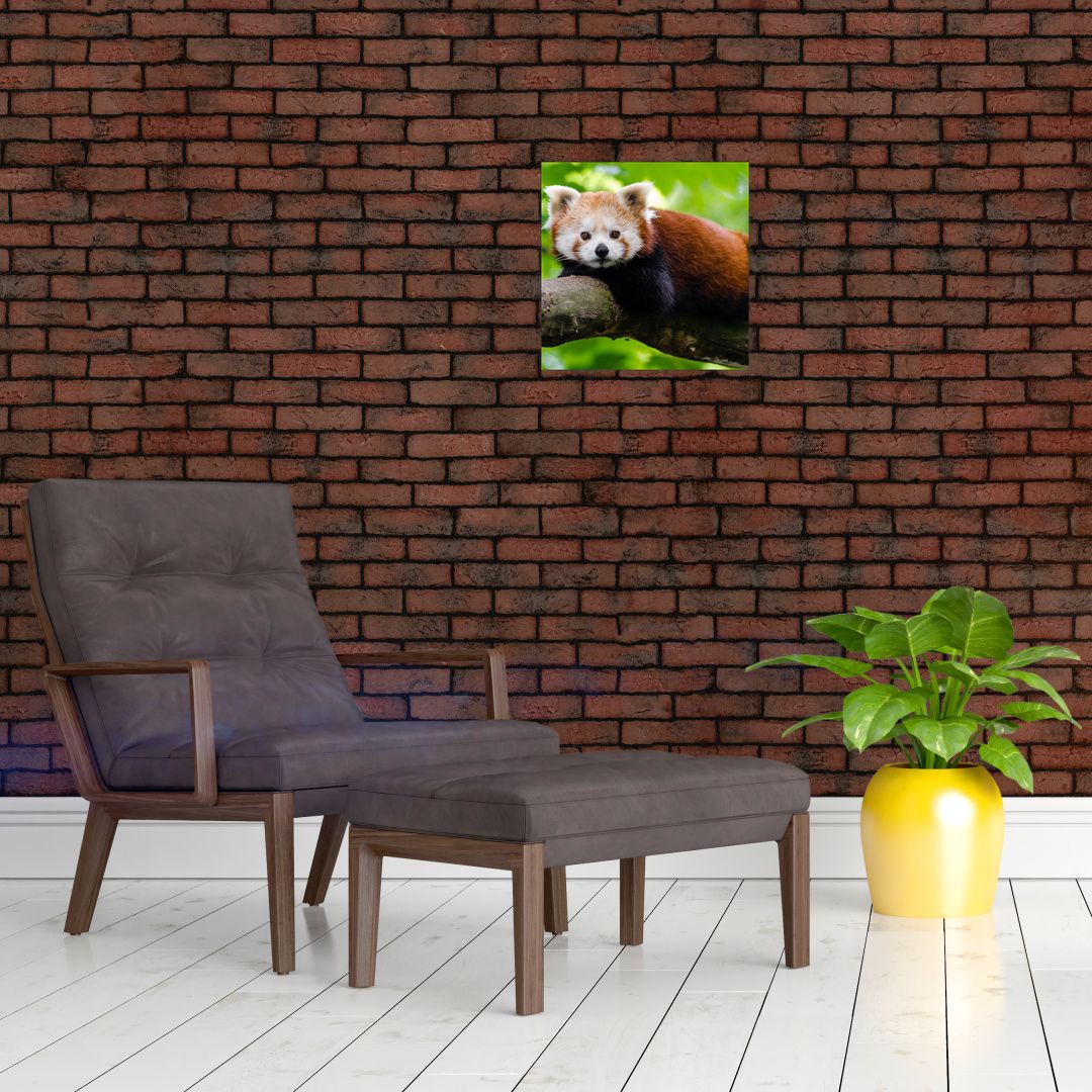 Skleněný obraz pandy červené (V020455V3030GD)