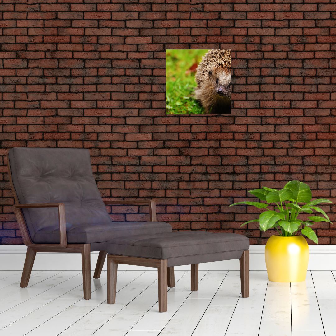 Skleněný obraz ježka (V020459V3030GD)