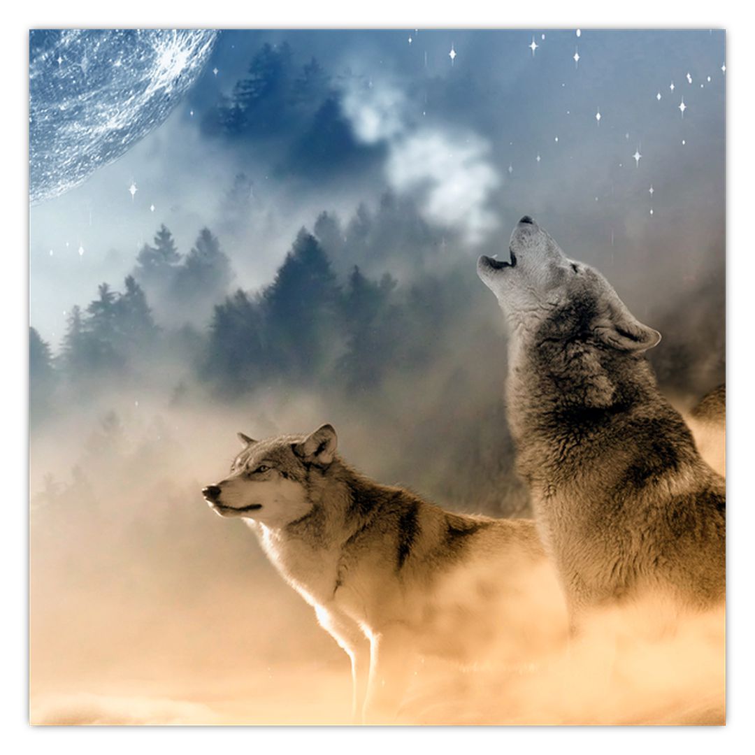 Tablou - lupii urlând la lună (V020509V4040)