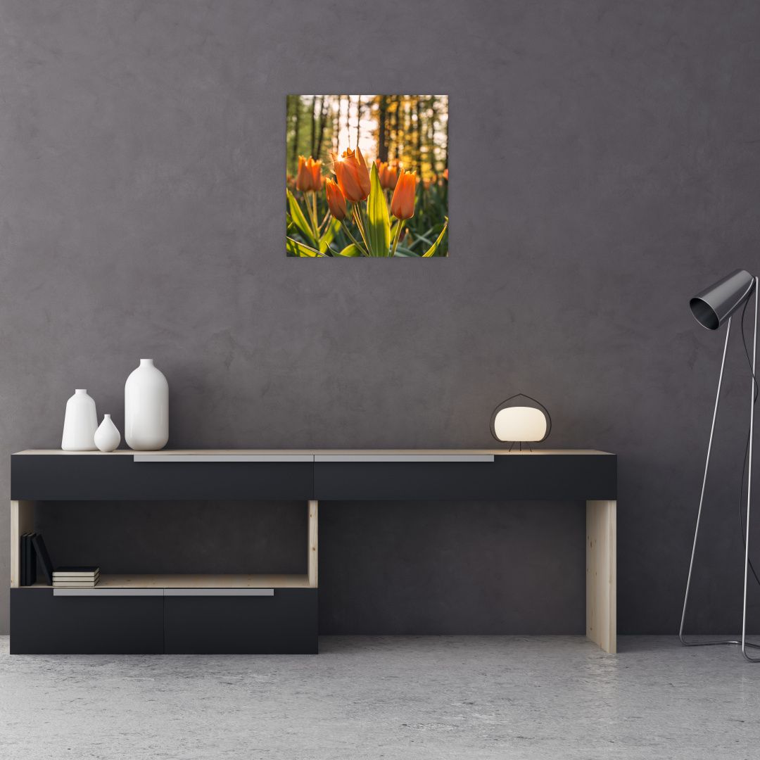 Obraz - oranžové tulipány (V020552V4040)