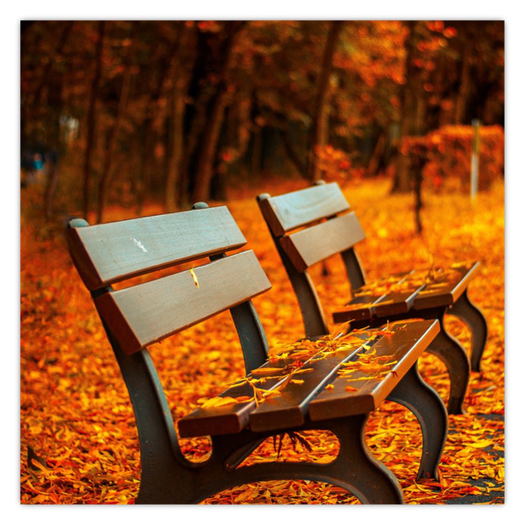Obraz lavičky v podzimu (V020588V4040)