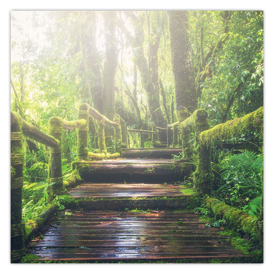 Obraz - dřevěné schody v lese (V020593V4040)