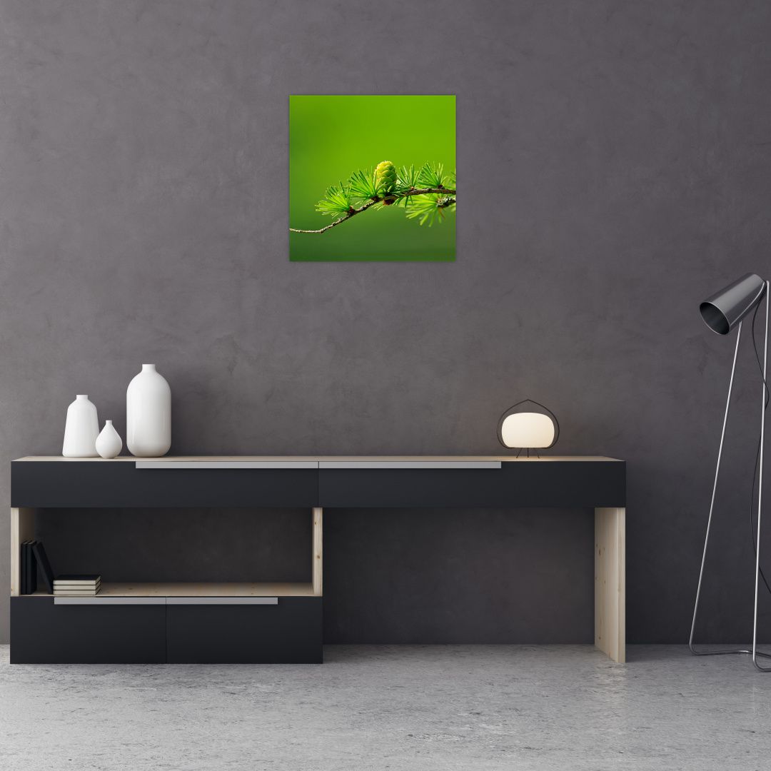 Obraz zelené šišky (V020627V4040)