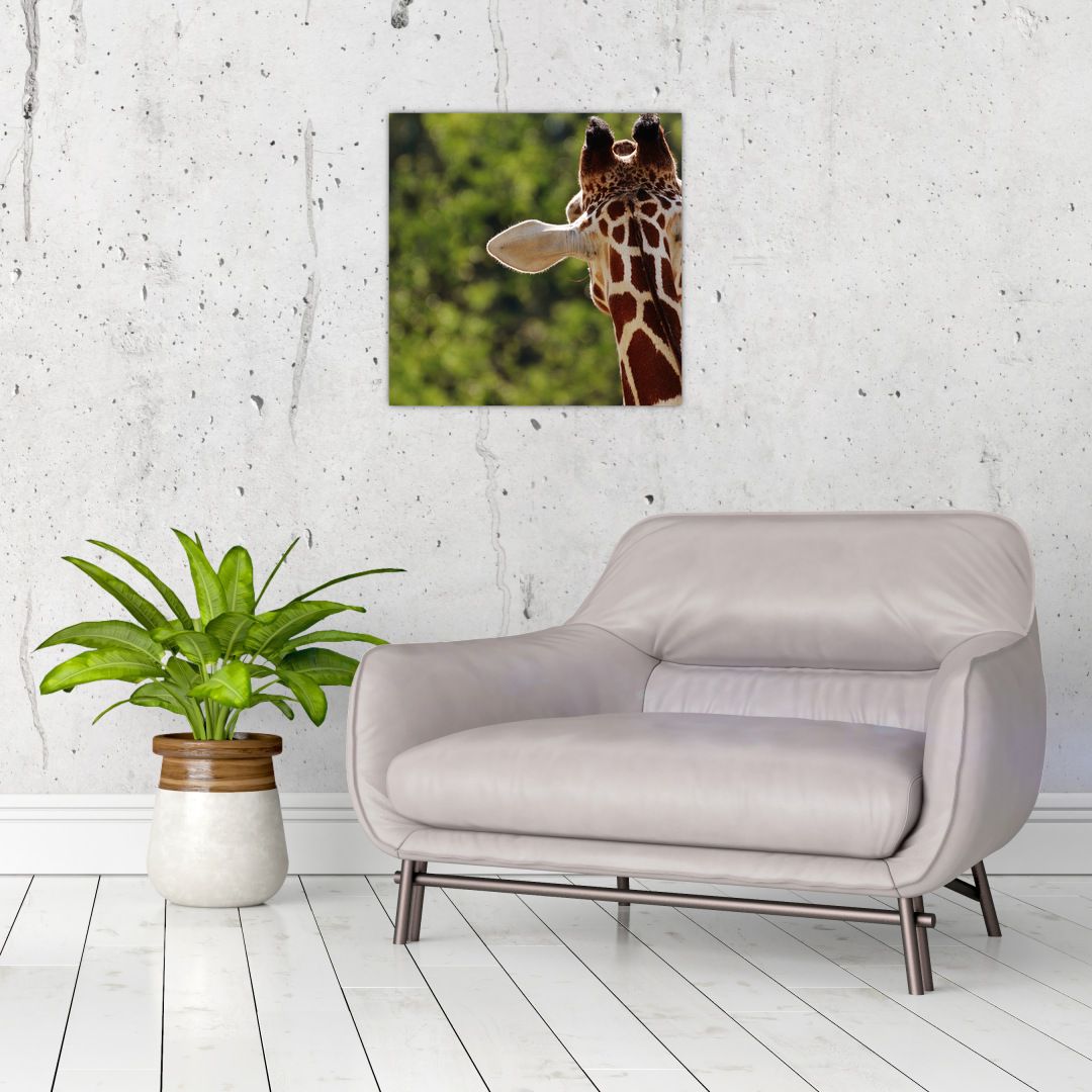 Obraz žirafy zezadu (V020638V4040)