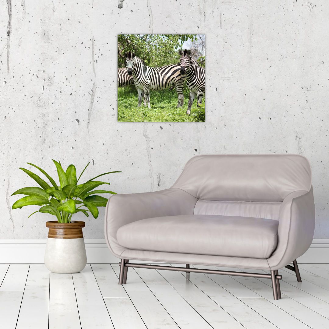 Obraz s zebrami (V020921V4040)